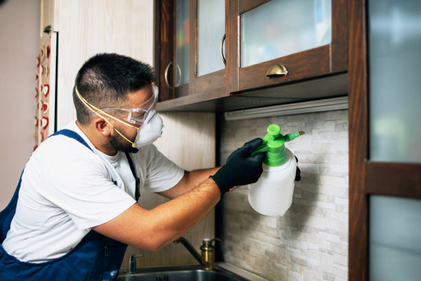 Best Residential Pest Control  in Benson, UT